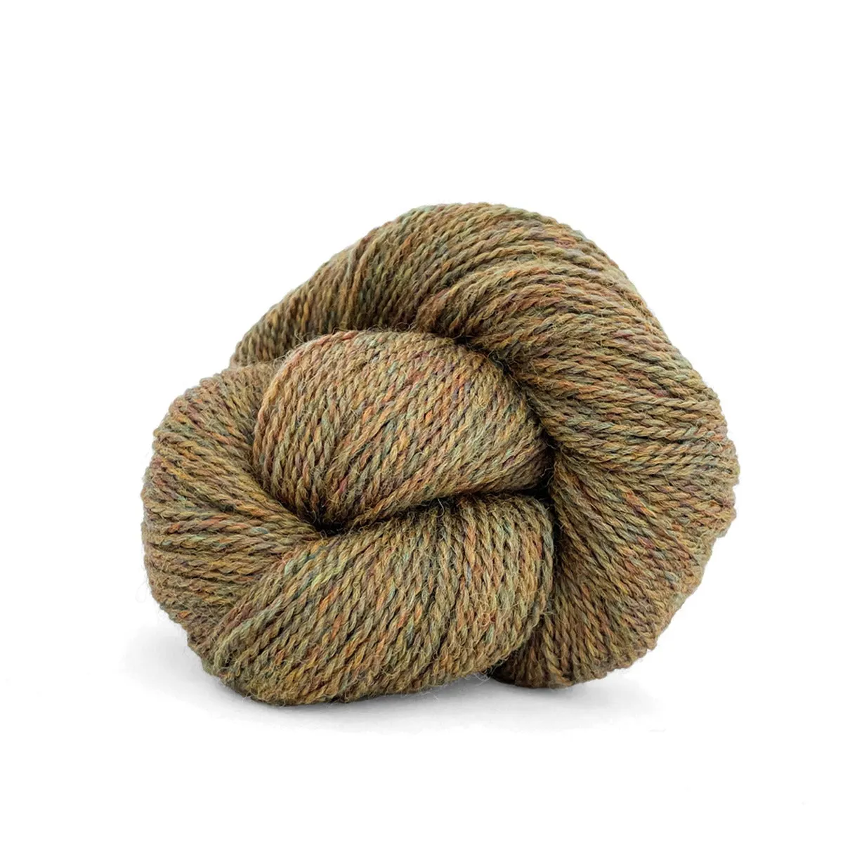 Camper Fingering - Kelbourne Woolens