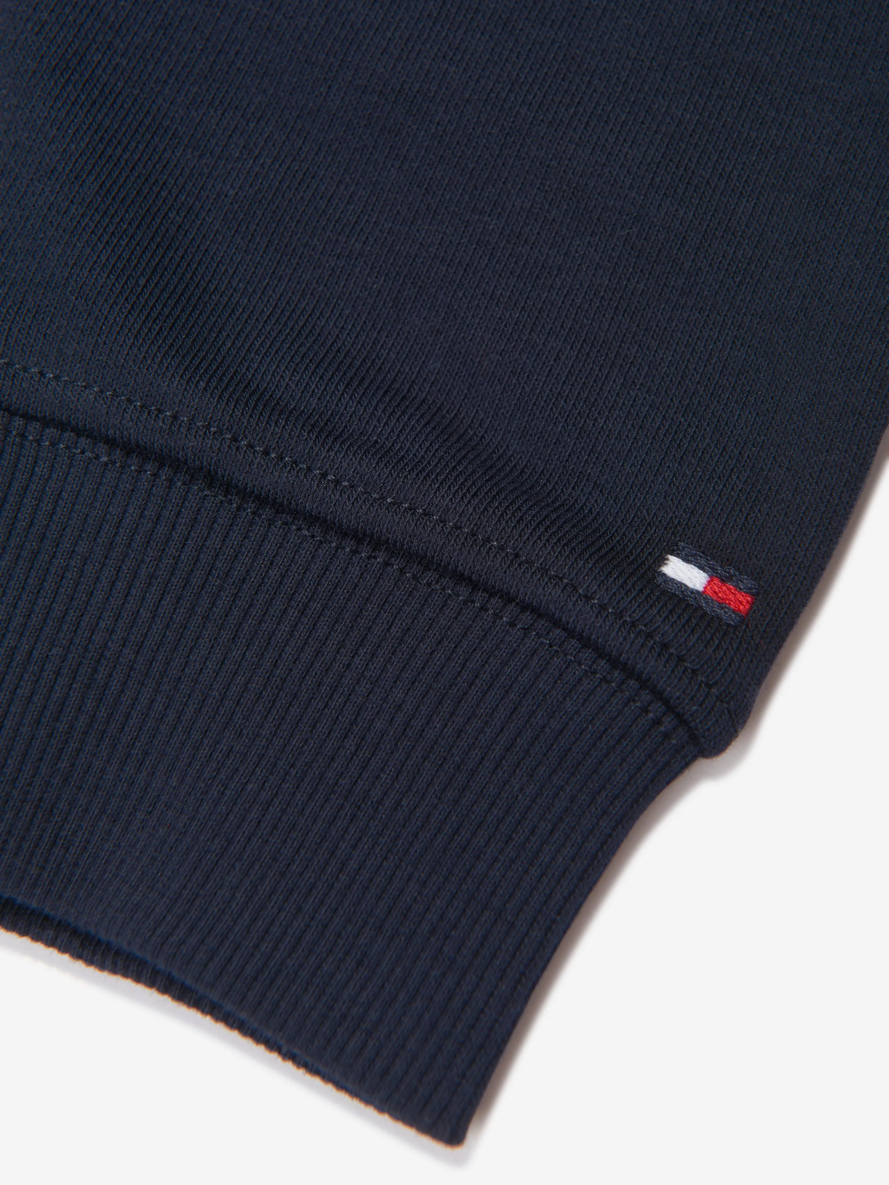 Tommy Hilfiger Boys Logo Hoodie in Navy